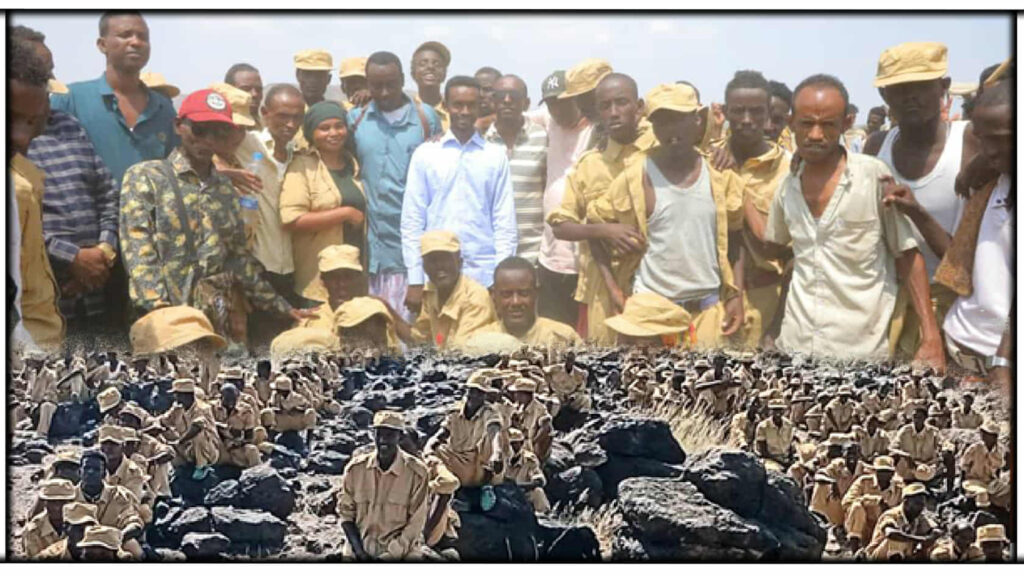 Messenger_creation_F2692AD2-AE26-44D5-9401-AA828D8EDAED